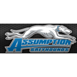 Assumption College