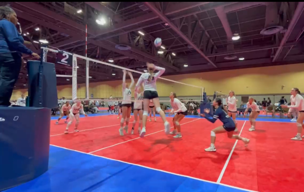Addison Stegenga