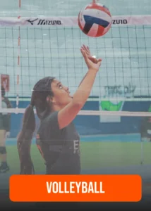 VolleyBall